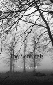The Sentinels high res