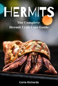 Hermits Ebook Cover