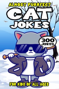 Cat Joke Book