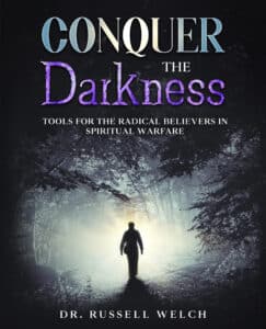 Conquer the Darkness ebook