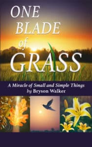 One Blade of Grass Kindle Cover